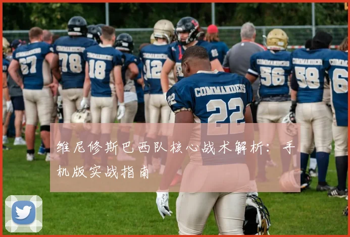 维尼修斯巴西队核心战术解析：手机版实战指南
