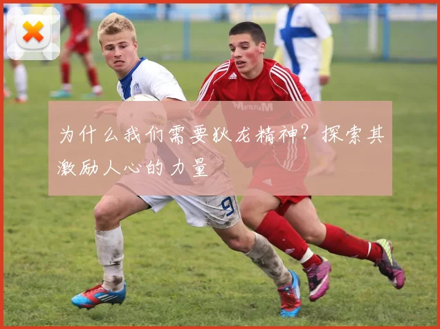 为什么我们需要狄龙精神？探索其激励人心的力量